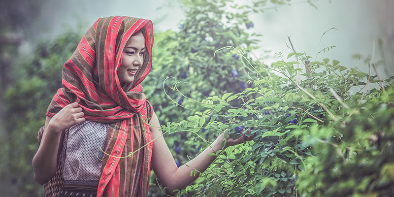 woman with shawl appreciating tea trees